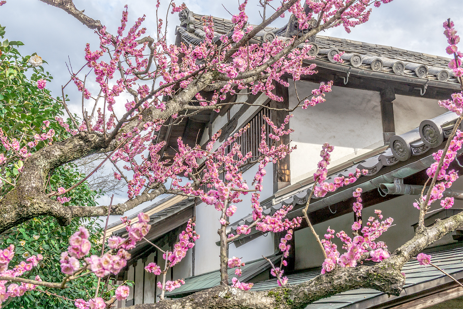 3月、奈良県・元興寺