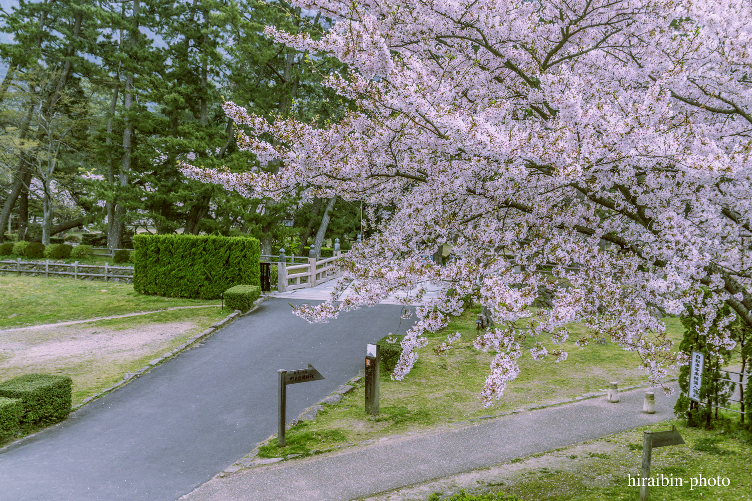 「出雲大社」編_photo.01