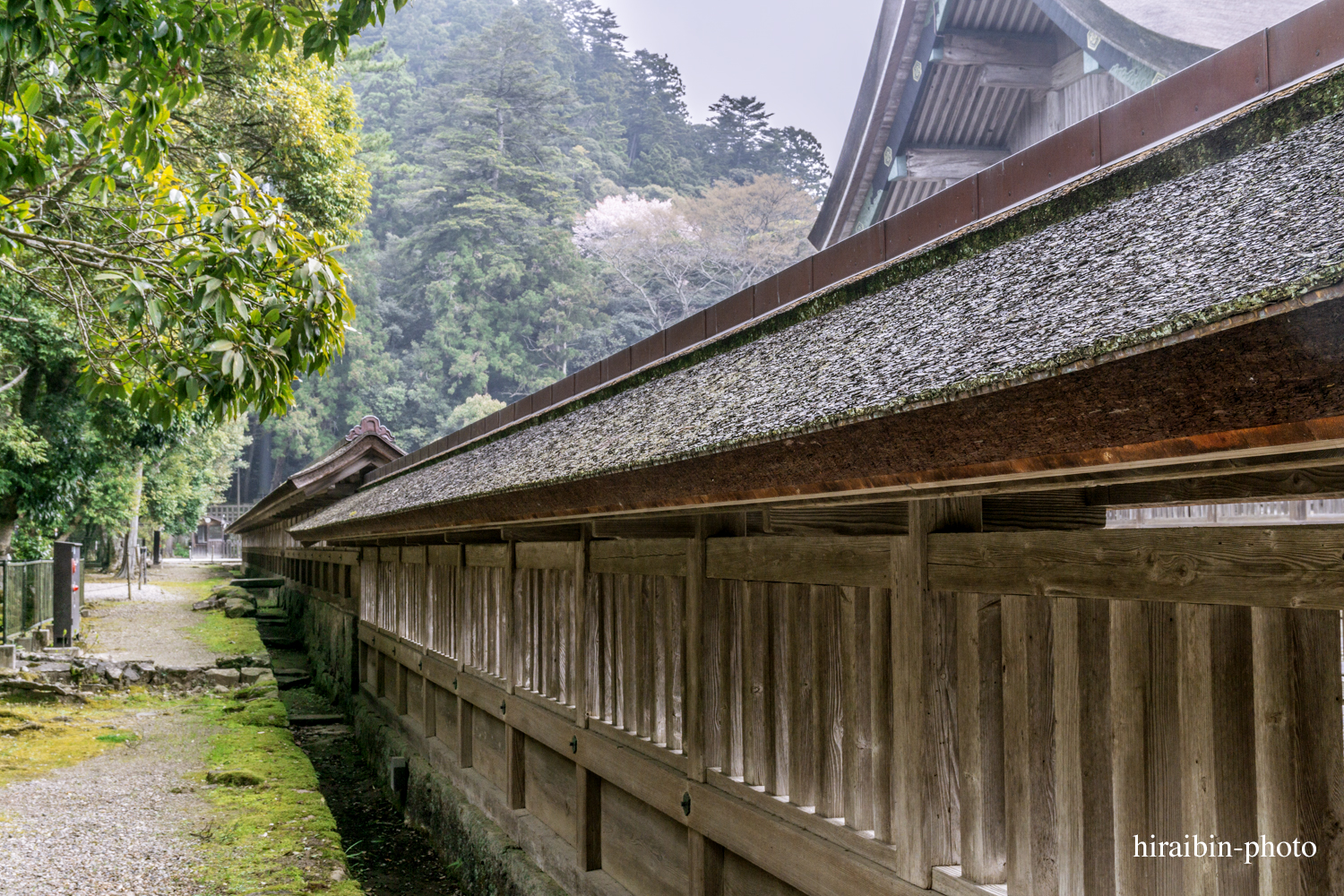 「出雲大社」編_photo.20