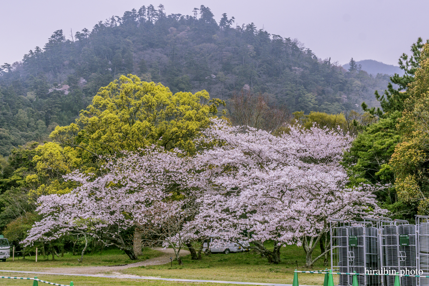 「出雲大社」編_photo.25