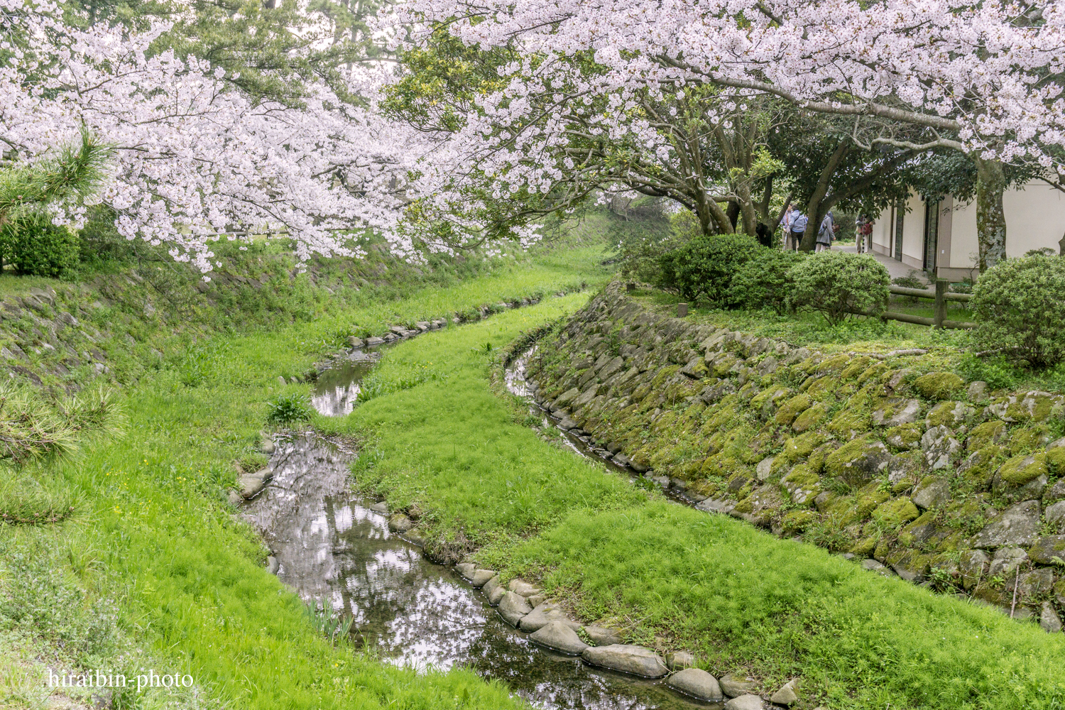 「出雲大社」編_photo.29