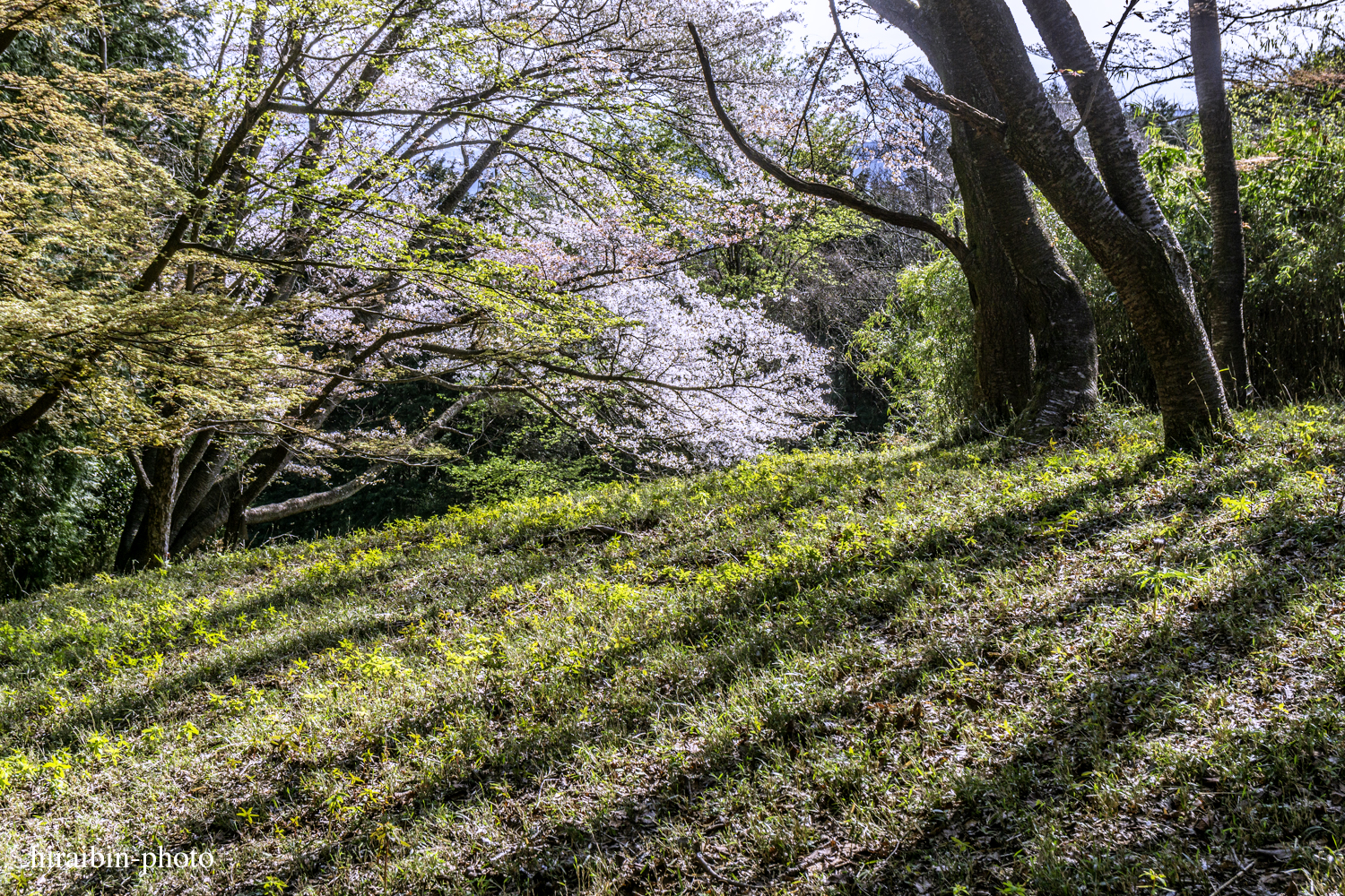 「箱根・湯坂山-浅間山」_photolog.06