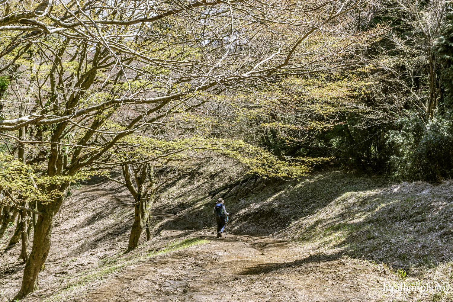 「箱根・湯坂山-浅間山」_photolog.18