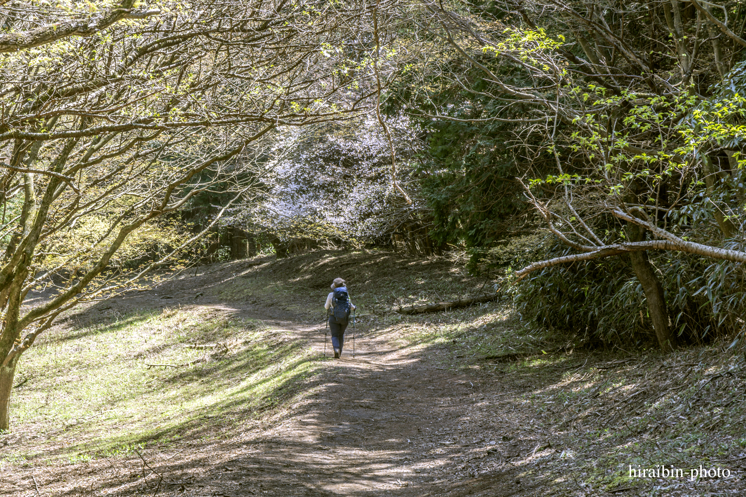 「箱根・湯坂山-浅間山」_photolog.21