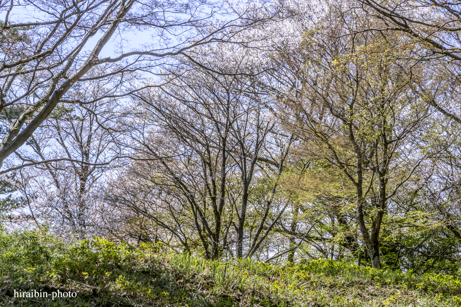 「箱根・湯坂山-浅間山」_photolog.49