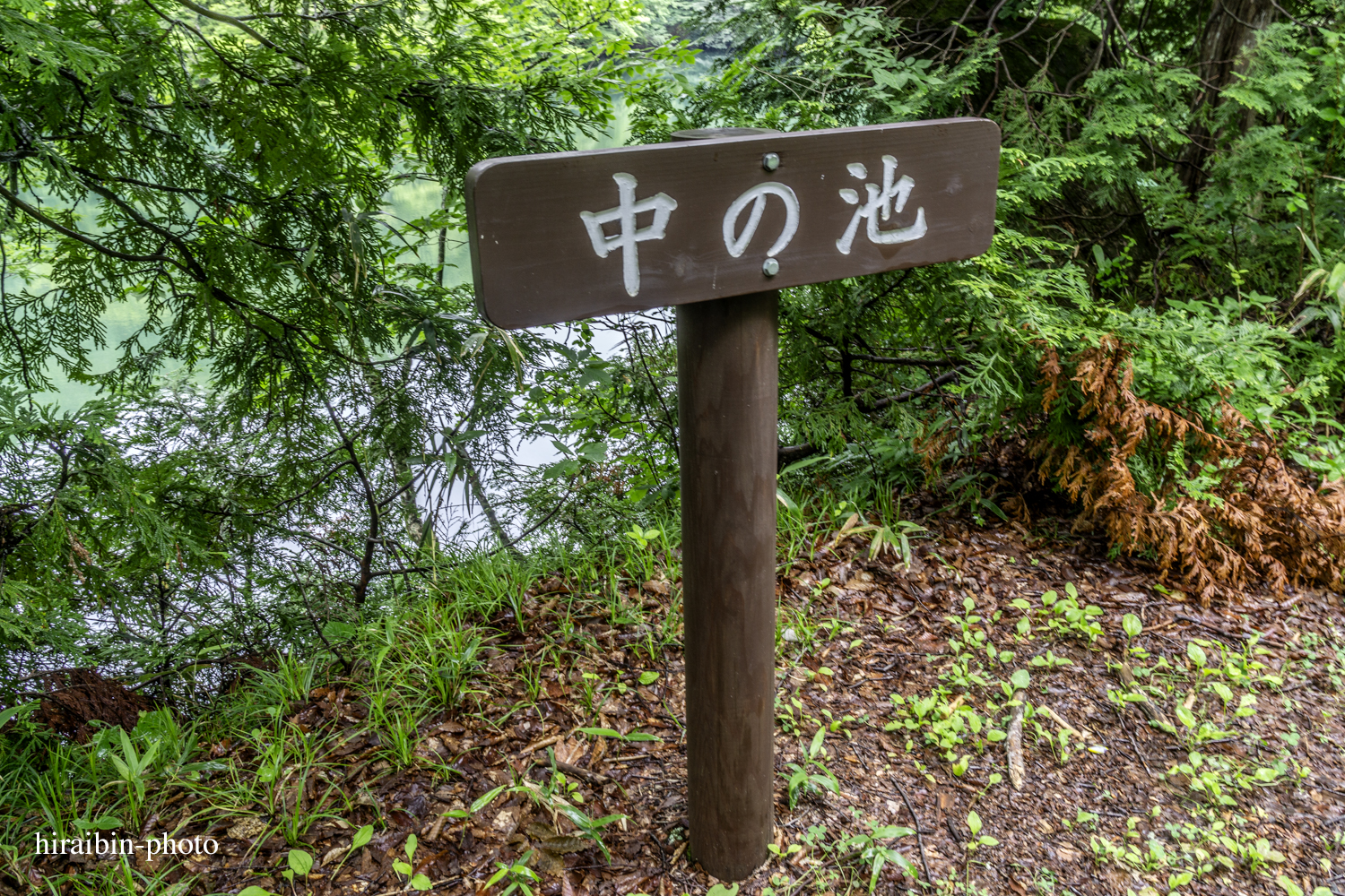 「白神山地・白神岳」編_photolog.03