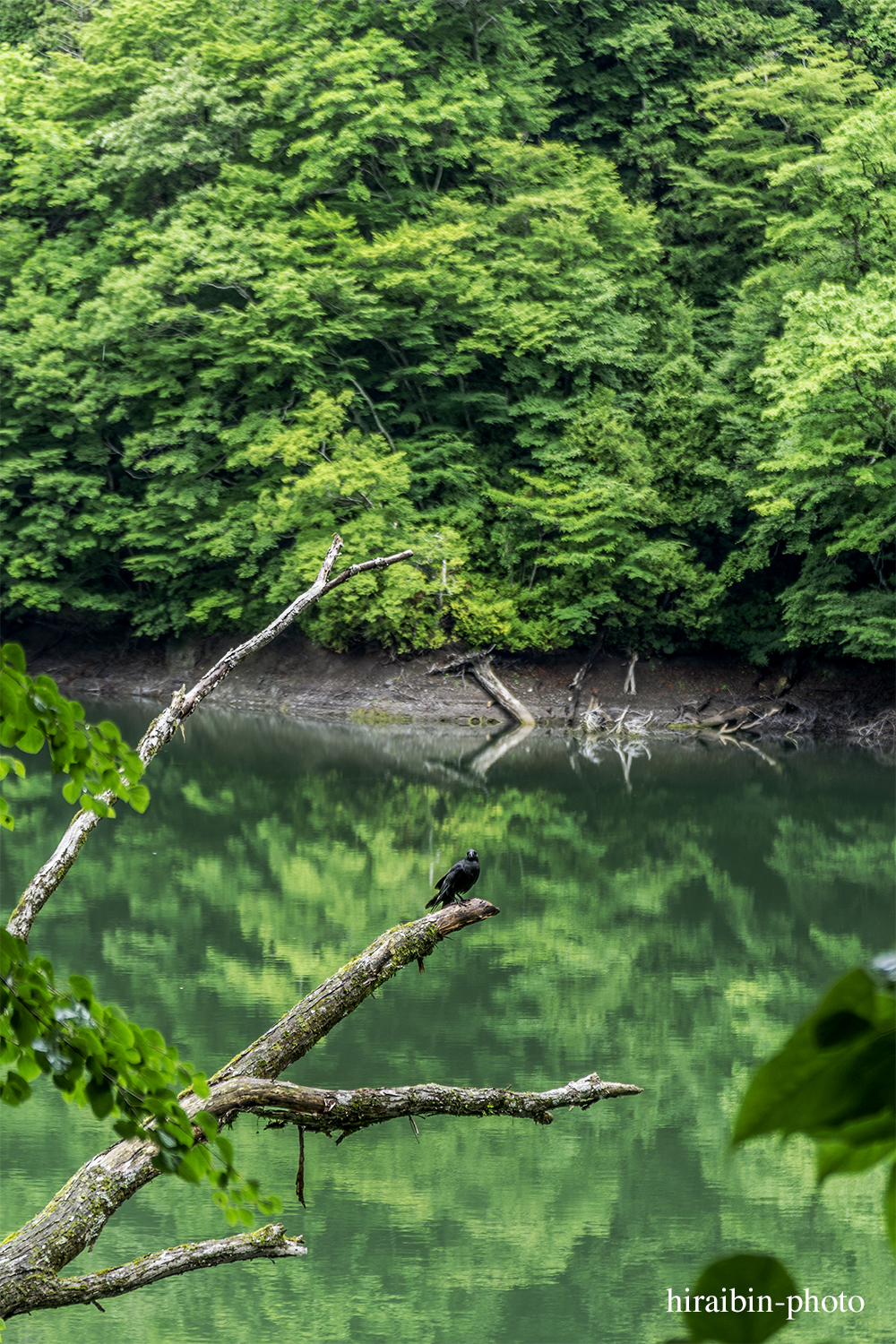 「白神山地・白神岳」編_photolog.15