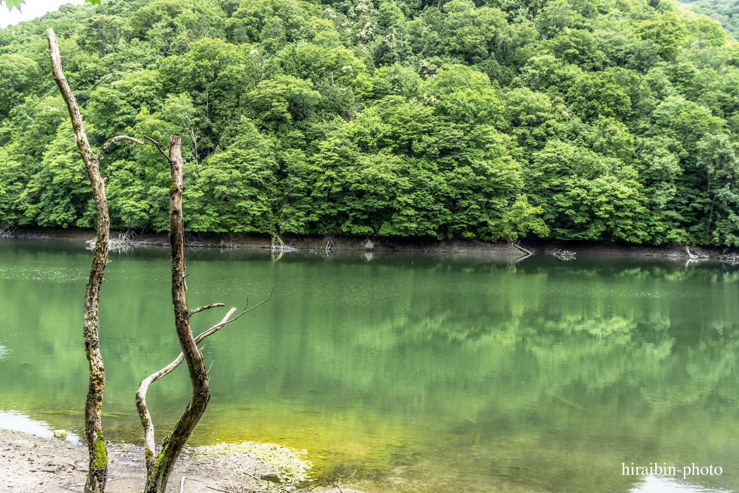 「白神山地・白神岳」編_photolog.14