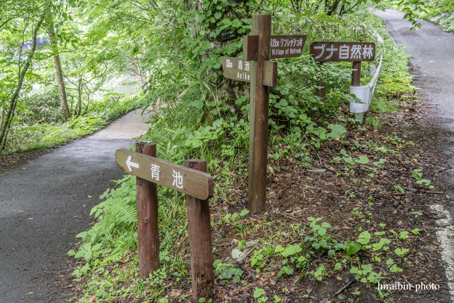 「白神山地・白神岳」編_photolog.16