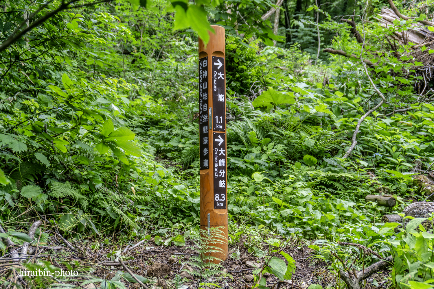 「白神山地・白神岳」編_photolog.18