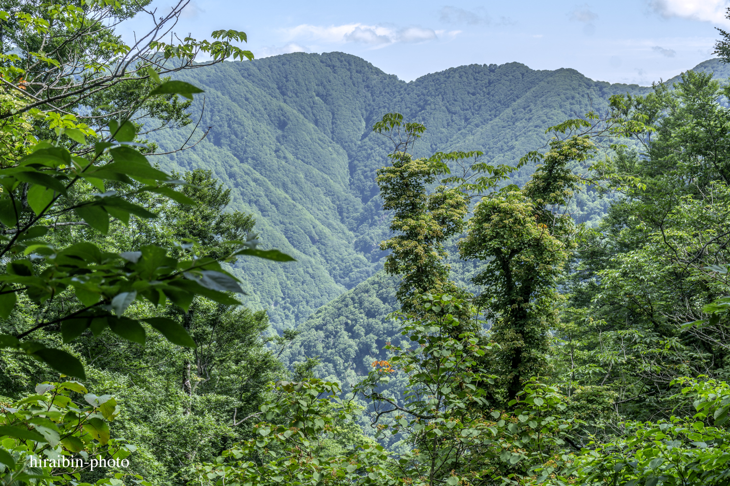 「白神山地・白神岳」編_photolog.20