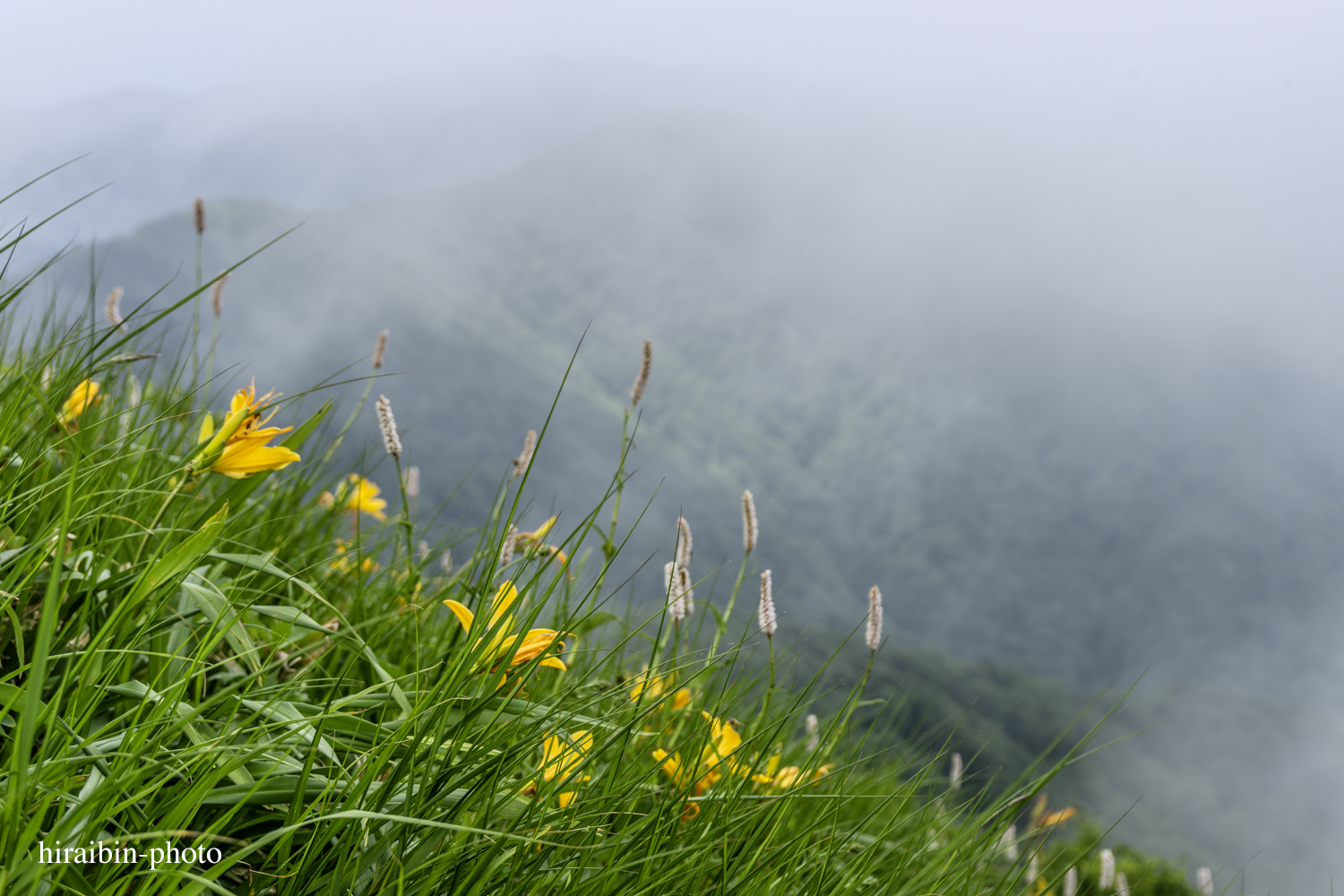 「白神山地・白神岳」編_photolog.29