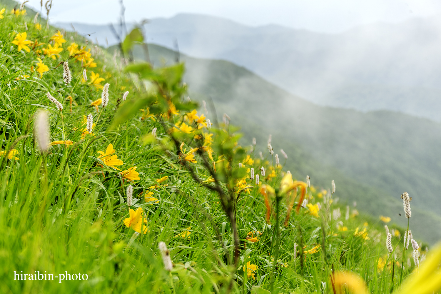 「白神山地・白神岳」編_photolog.30