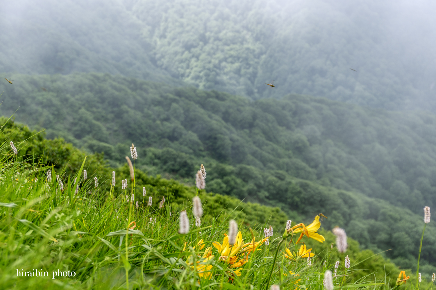 「白神山地・白神岳」編_photolog.31