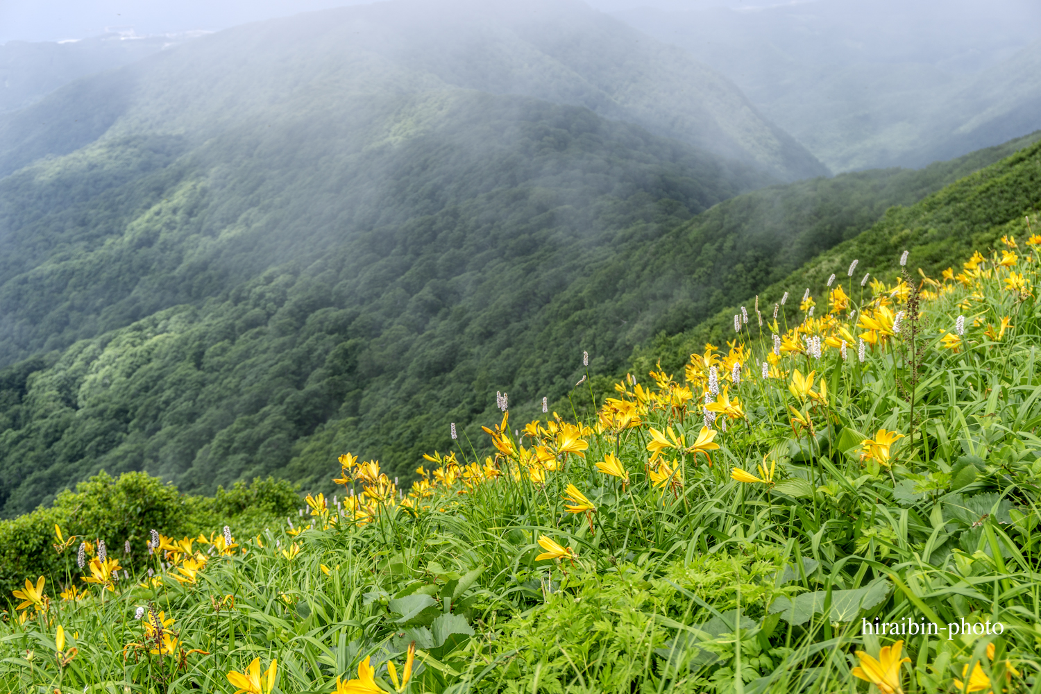 「白神山地・白神岳」編_photolog.32