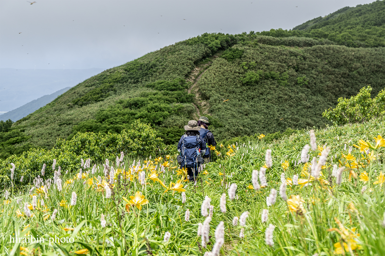 「白神山地・白神岳」編_photolog.40