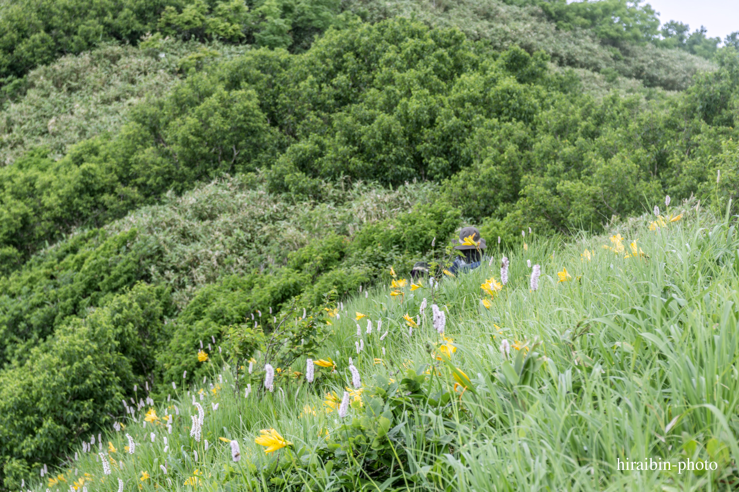 「白神山地・白神岳」編_photolog.45