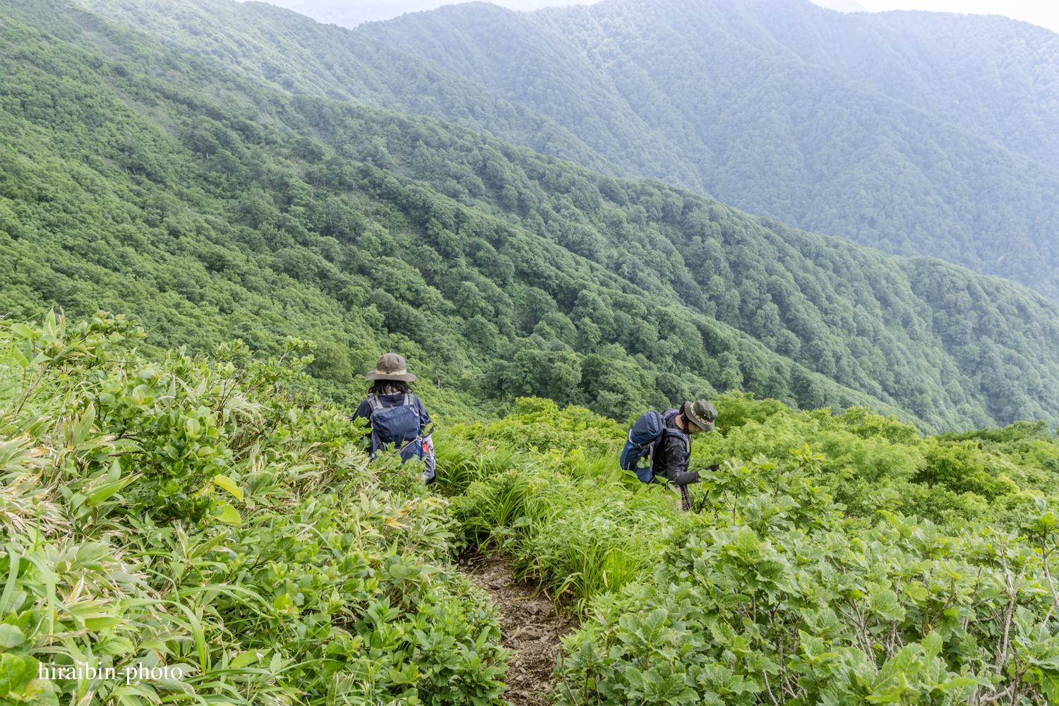 「白神山地・白神岳」編_photolog.48