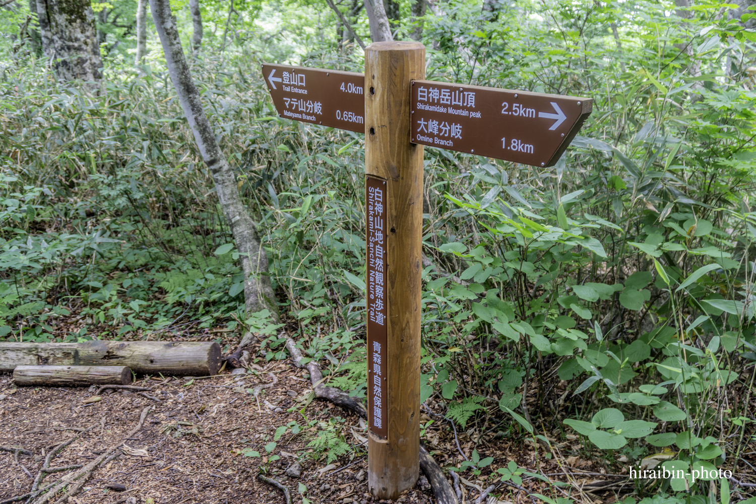 「白神山地・白神岳」編_photolog.50