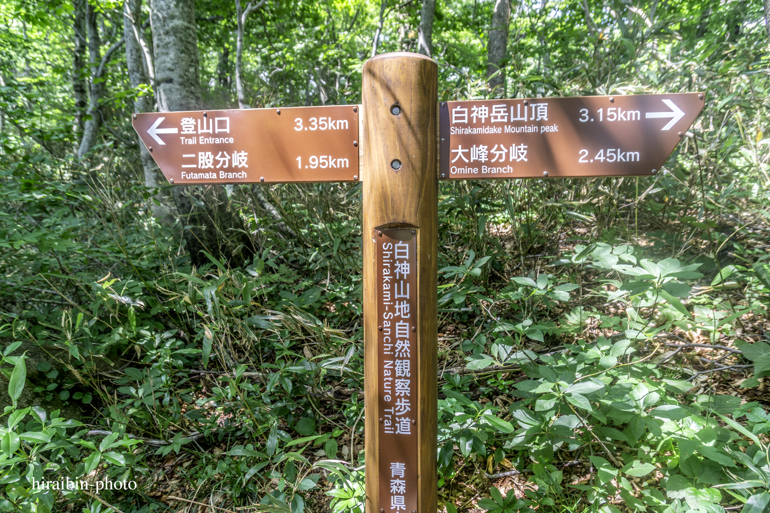 「白神山地・白神岳」編_photolog.51