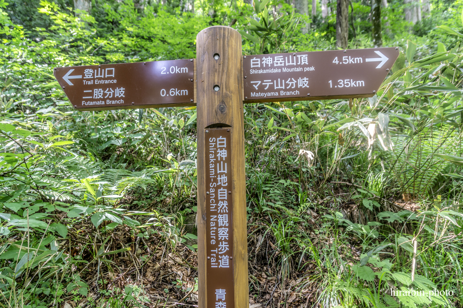 「白神山地・白神岳」編_photolog.55