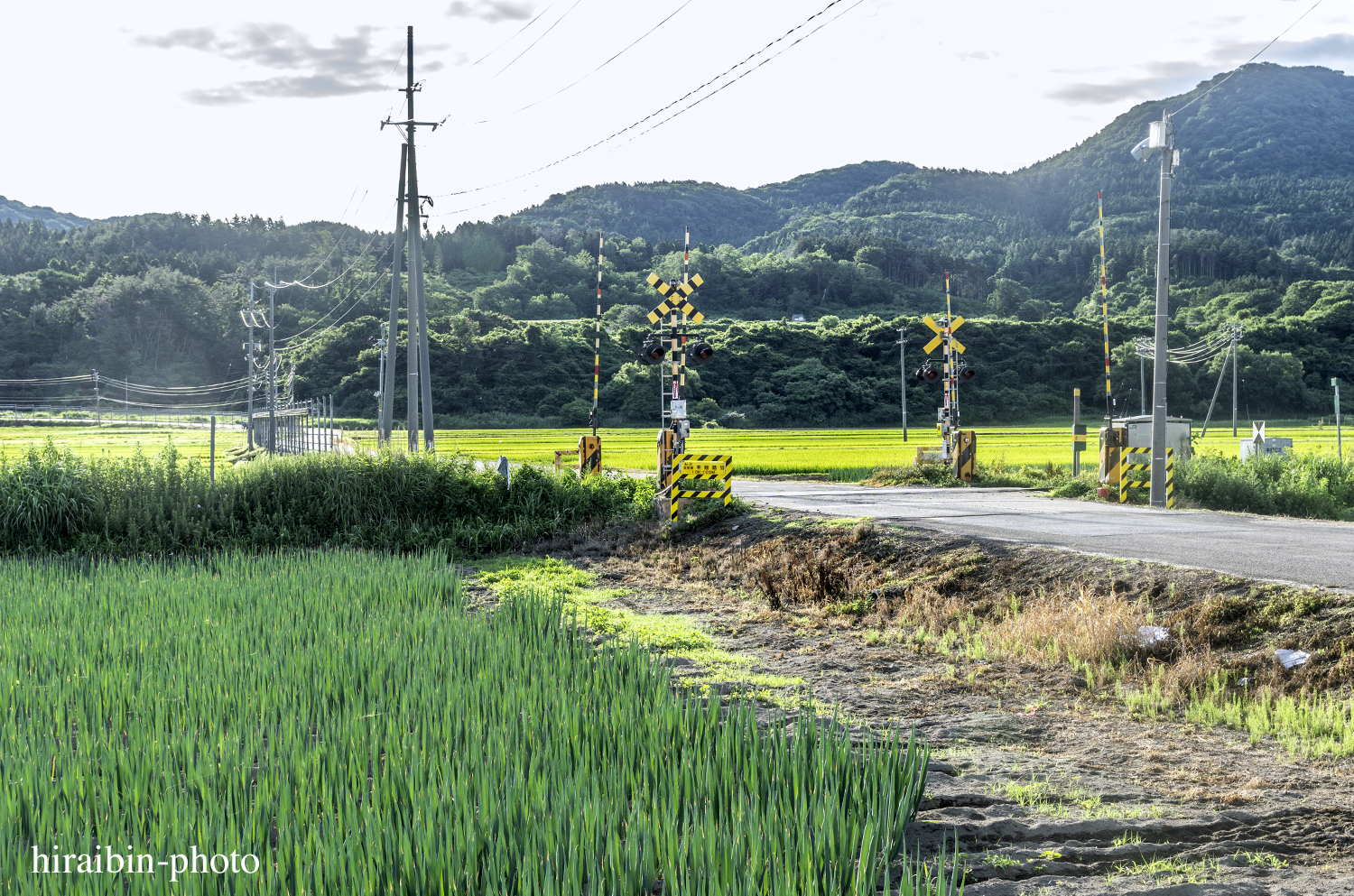 「白神山地・白神岳」編_photolog.62