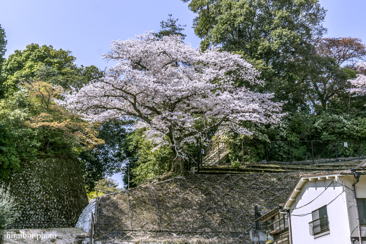 「安芸の宮島・嚴島神社」編_photoiog.40