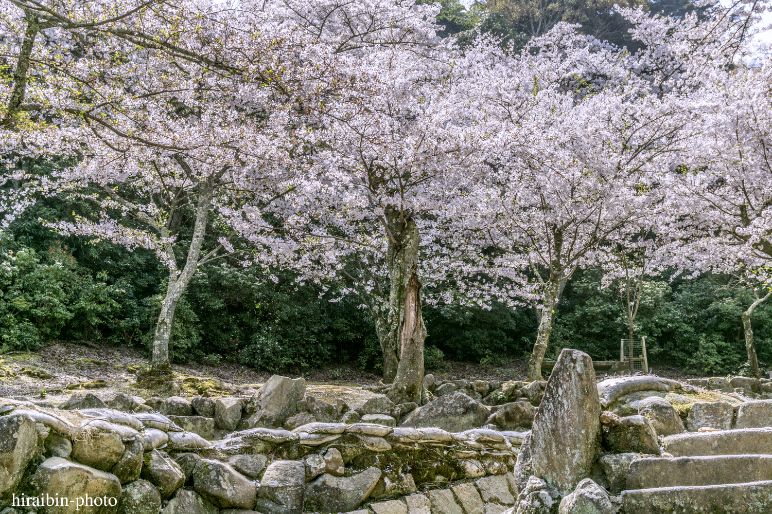 「安芸の宮島・嚴島神社」編_photoiog.42