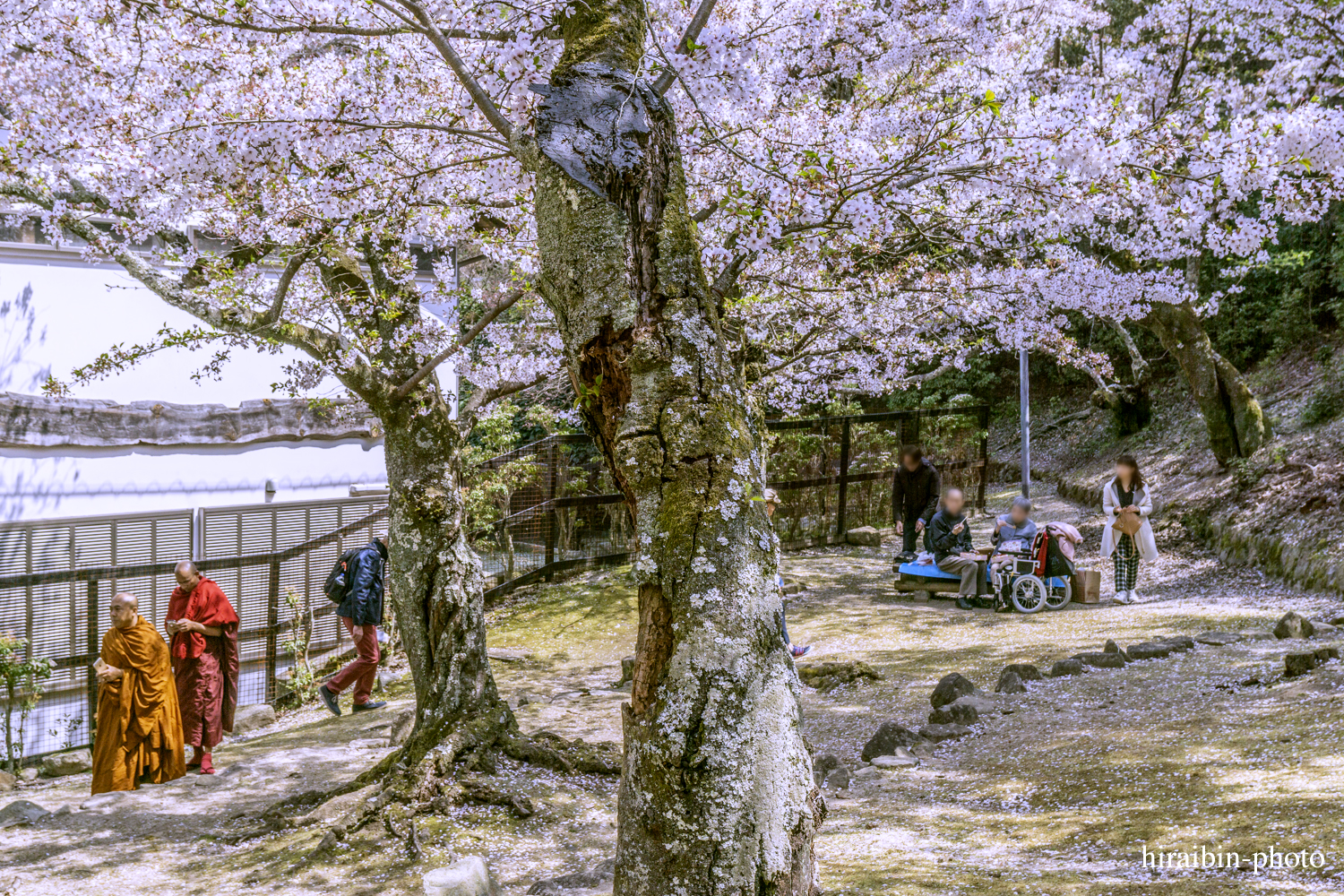 「安芸の宮島・嚴島神社」編_photoiog.44