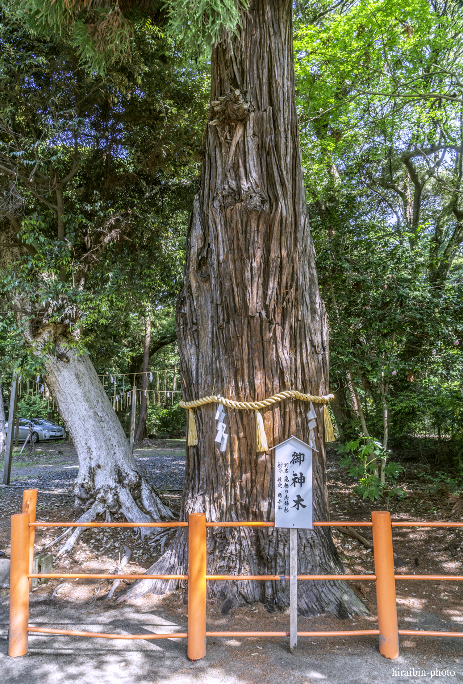 2019.5.3-息栖神社photolog_12