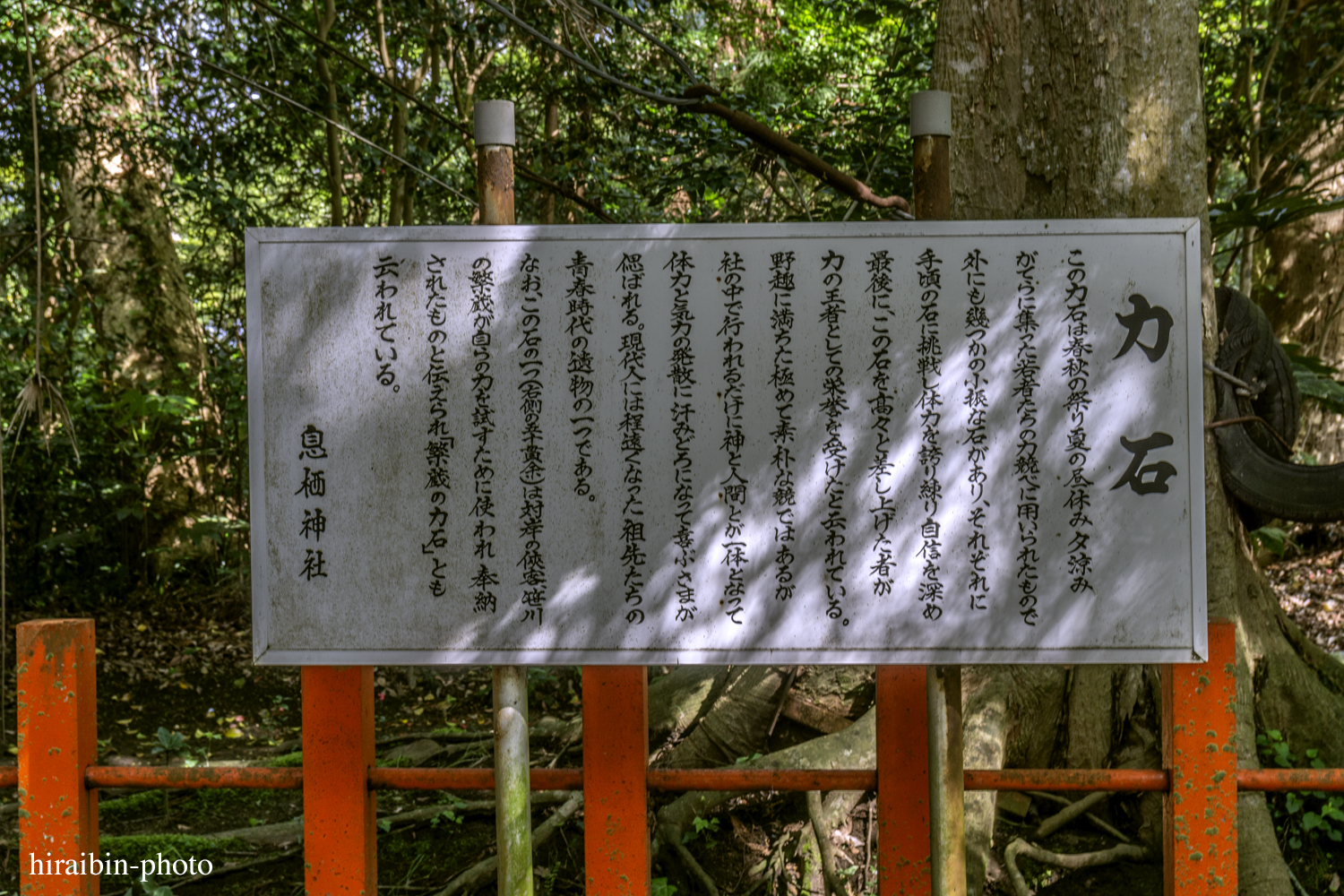 2019.5.3-息栖神社photolog_13