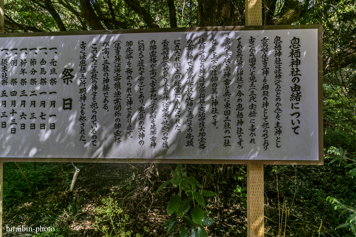 2019.5.3-息栖神社photolog_19