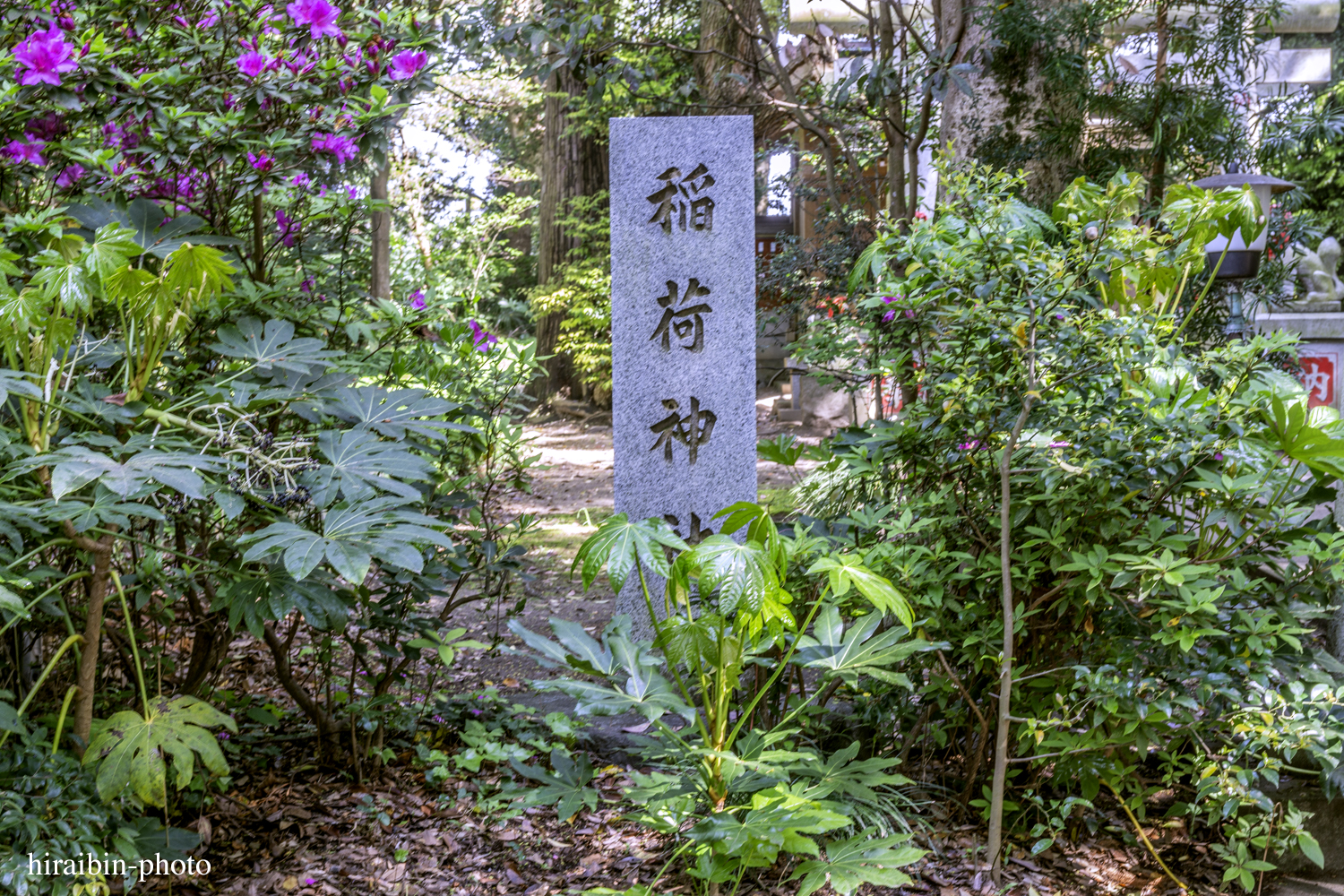 2019.5.3-息栖神社photolog_22