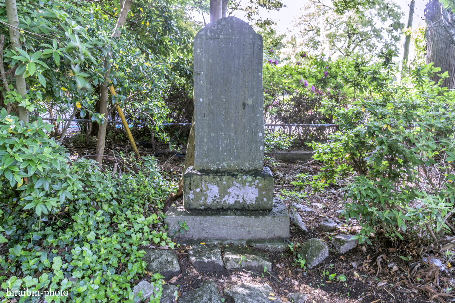 2019.5.3-息栖神社photolog_23