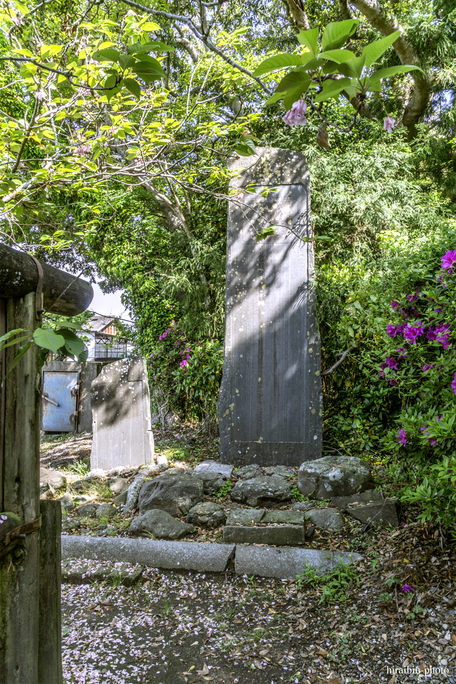 2019.5.3-息栖神社photolog_24