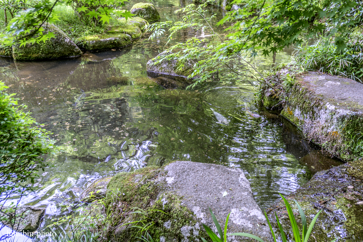 2019.5.3-香取神宮photolog_20