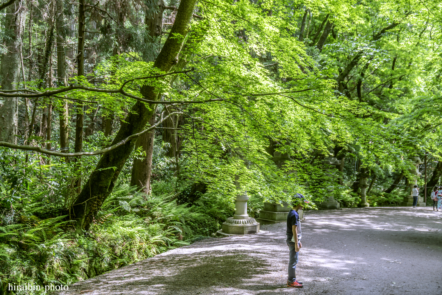 2019.5.3-香取神宮photolog_21