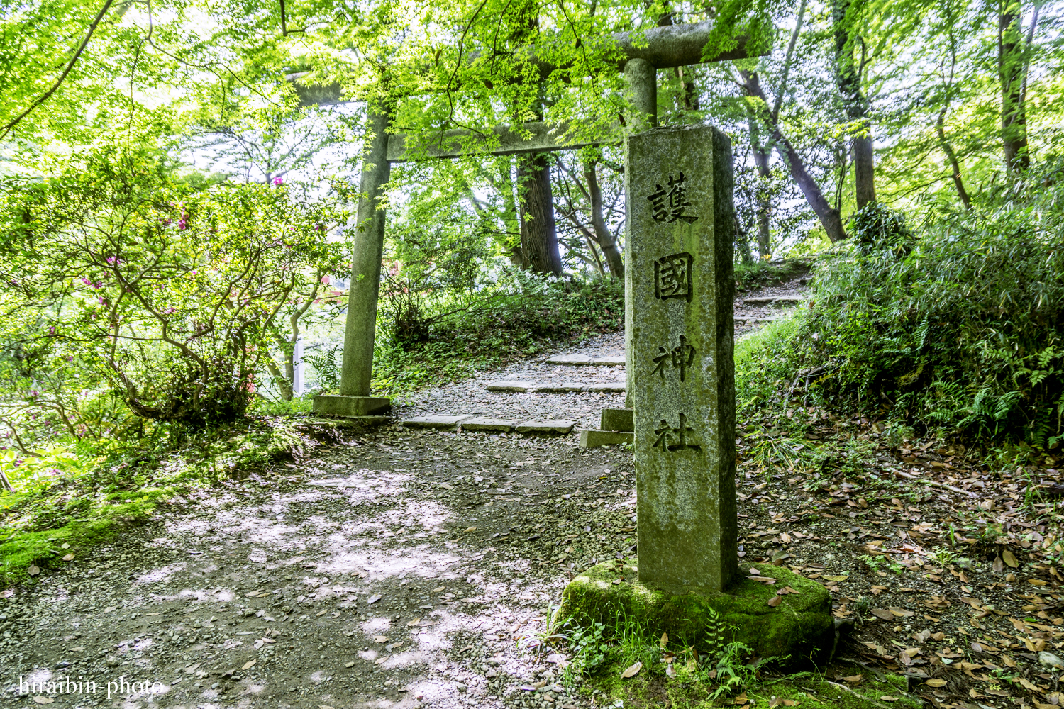 2019.5.3-香取神宮photolog_25