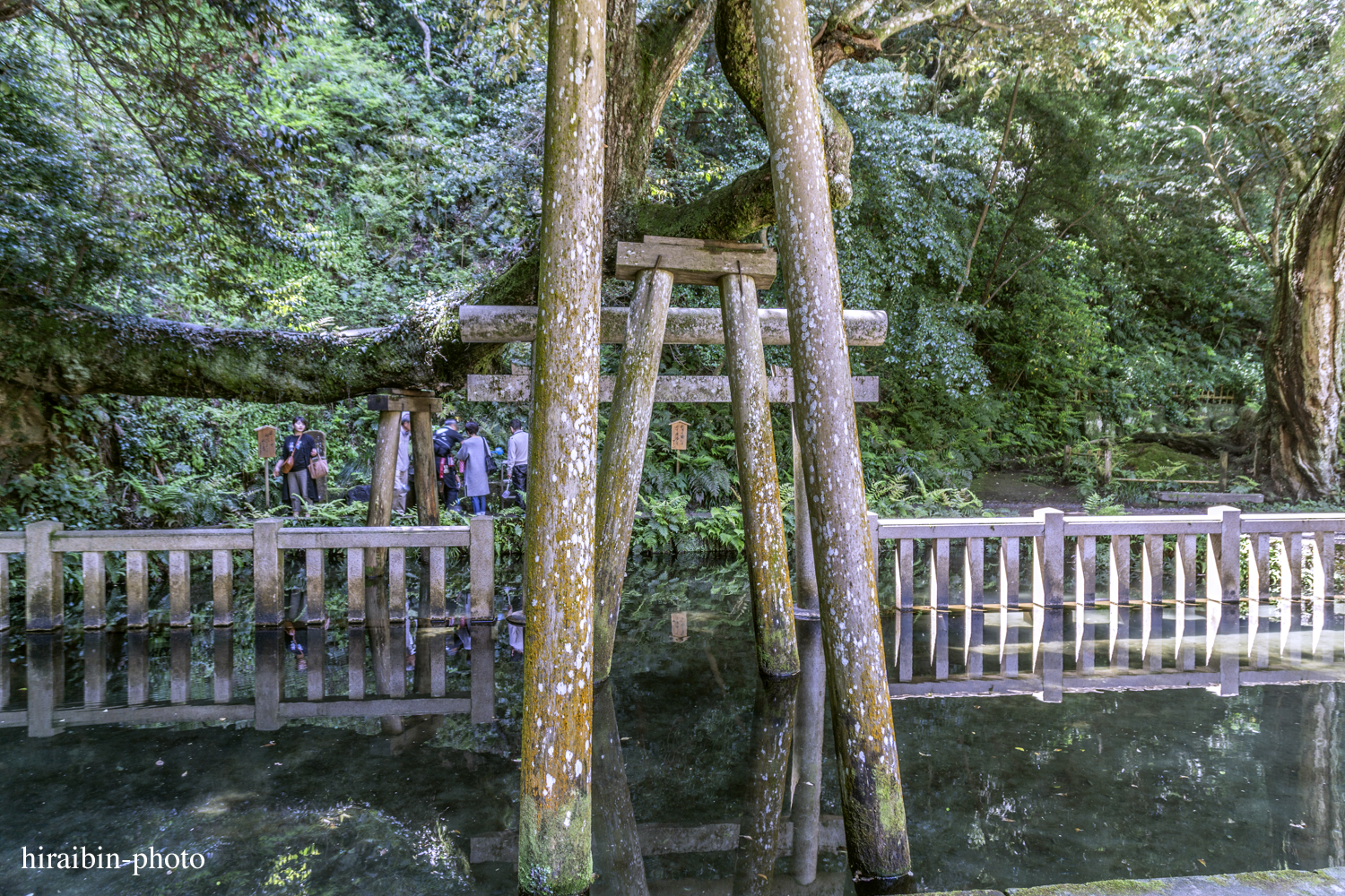 2019.5.3-鹿島神宮photolog_02