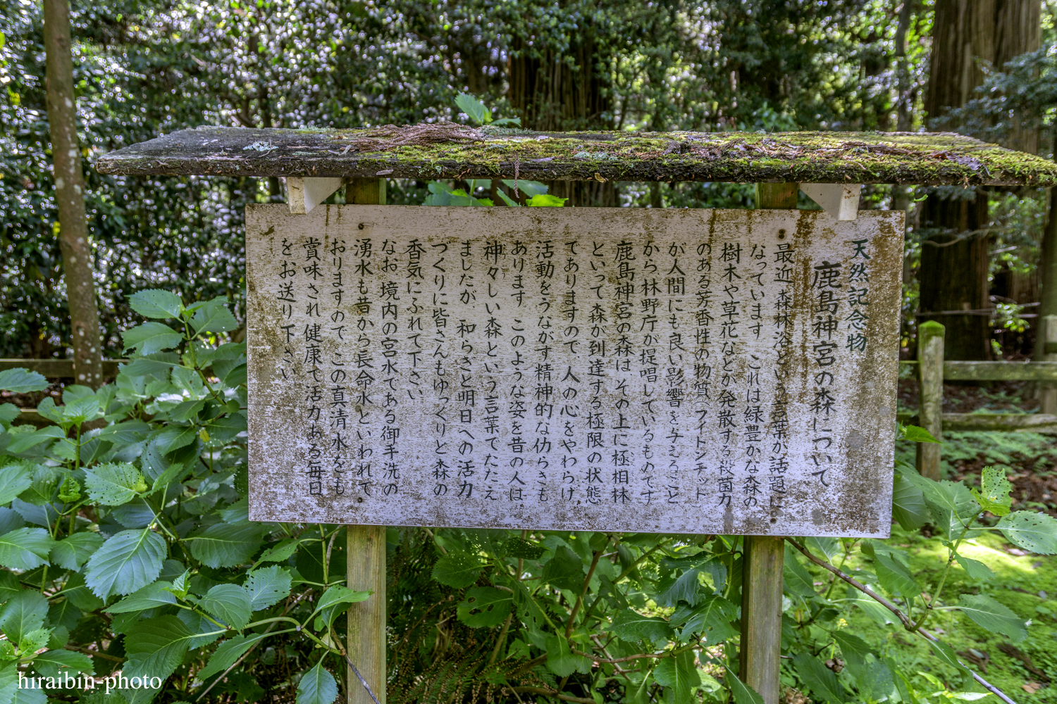 2019.5.3-鹿島神宮photolog_06