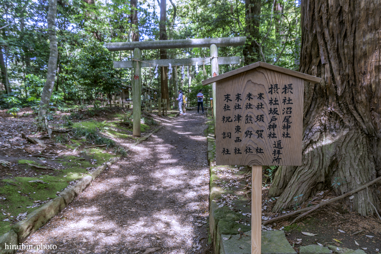 2019.5.3-鹿島神宮photolog_18