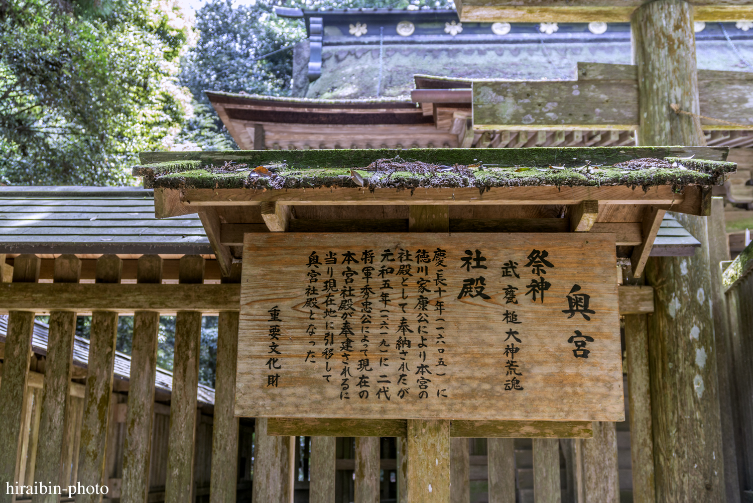 2019.5.3-鹿島神宮photolog_32