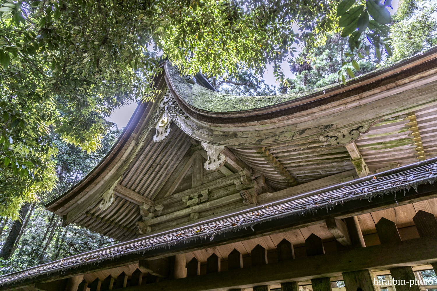 2019.5.3-鹿島神宮photolog_35