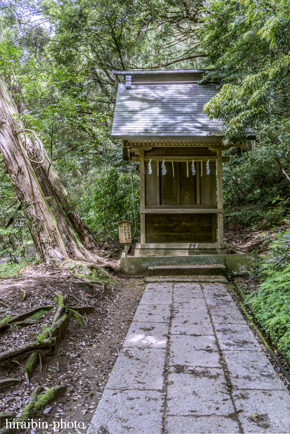 2019.5.3-鹿島神宮photolog_46