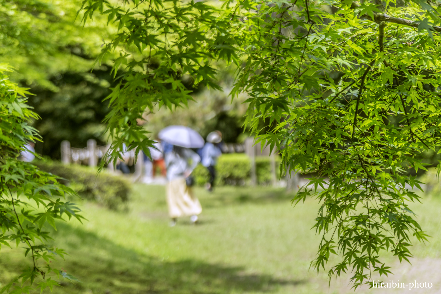 2019.5.3-鹿島神宮photolog_47