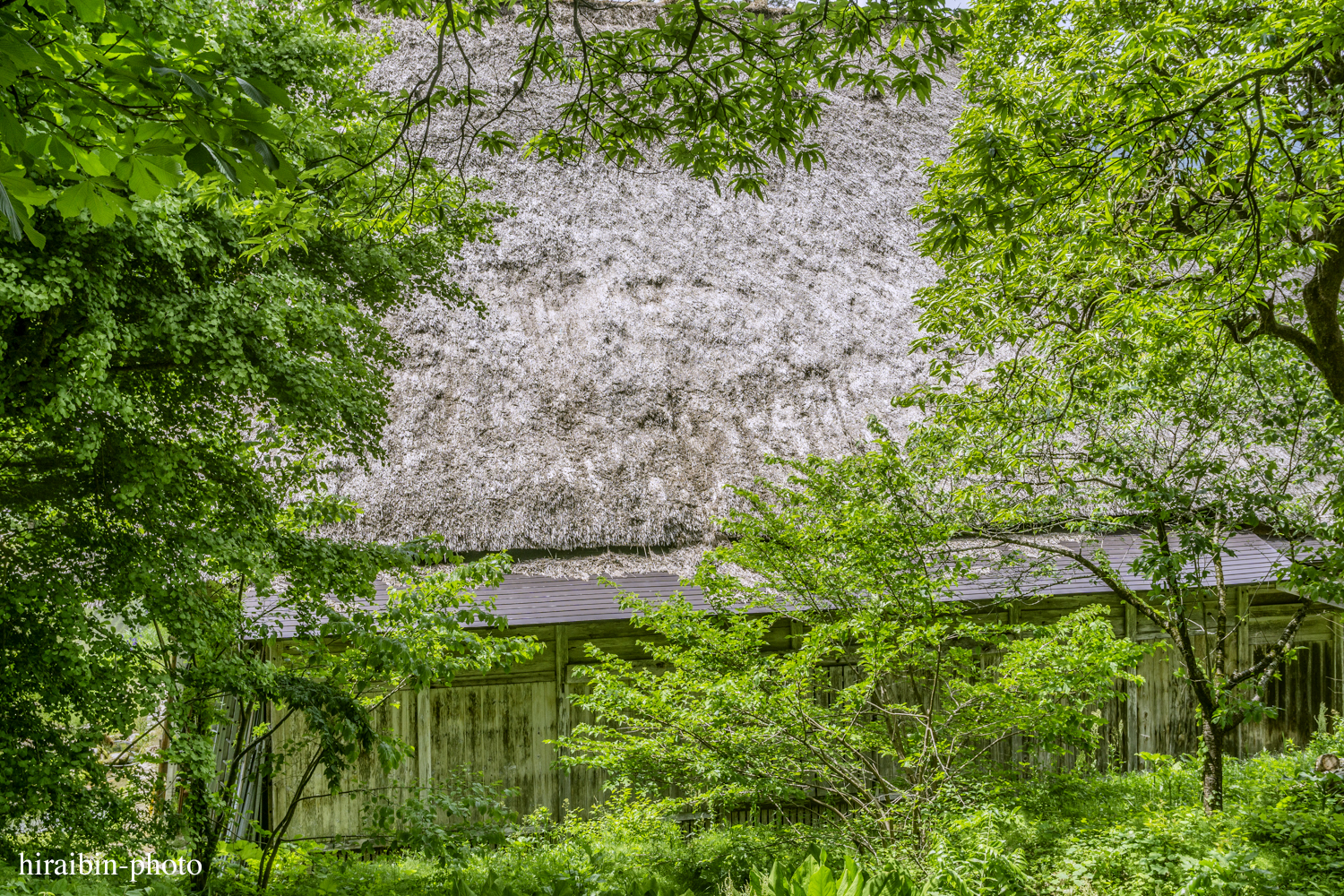 世界遺産「白川郷」編photolog_11