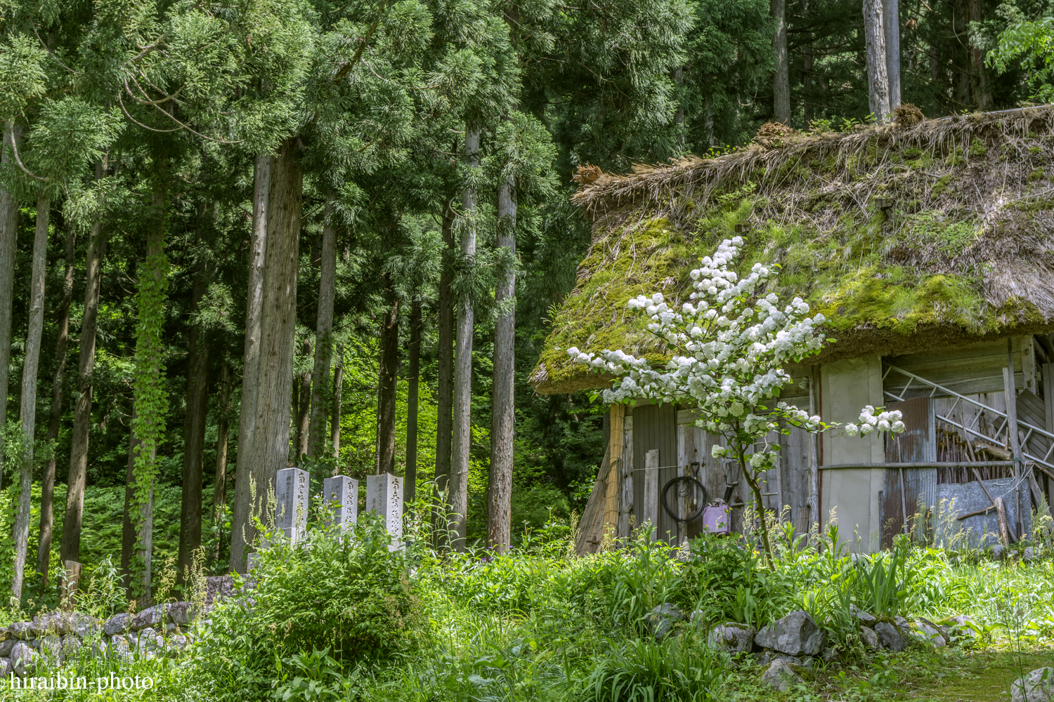 世界遺産「白川郷」編photolog_13