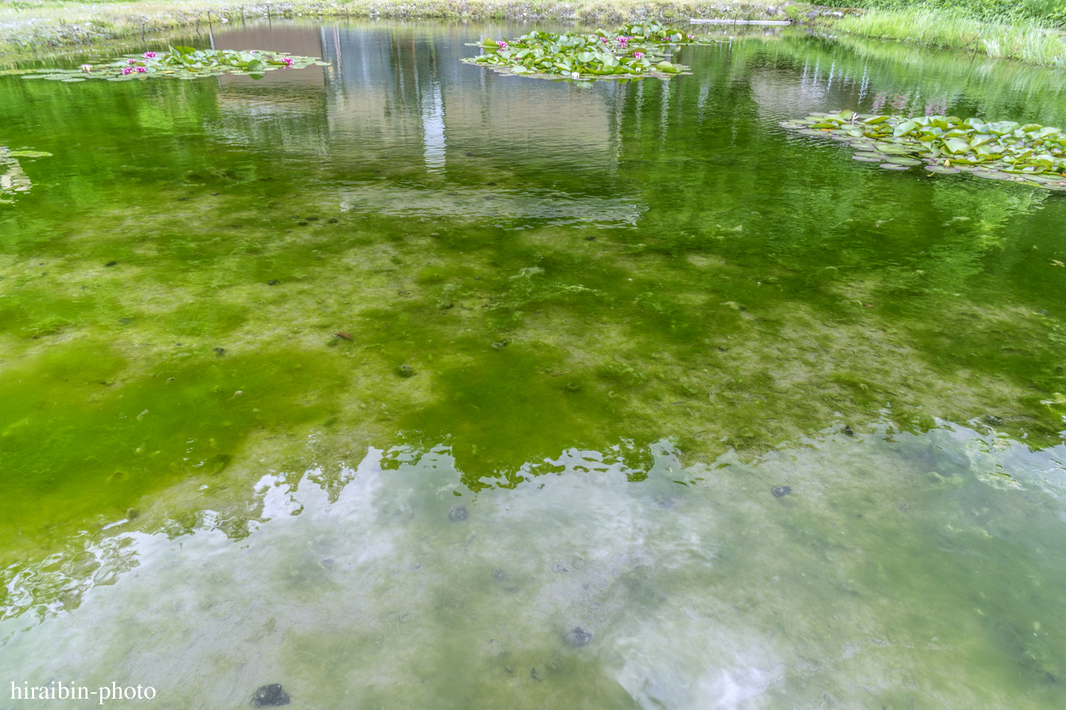 世界遺産「白川郷」編photolog_18