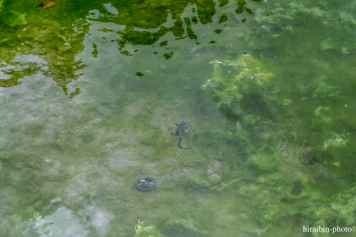 世界遺産「白川郷」編photolog_19