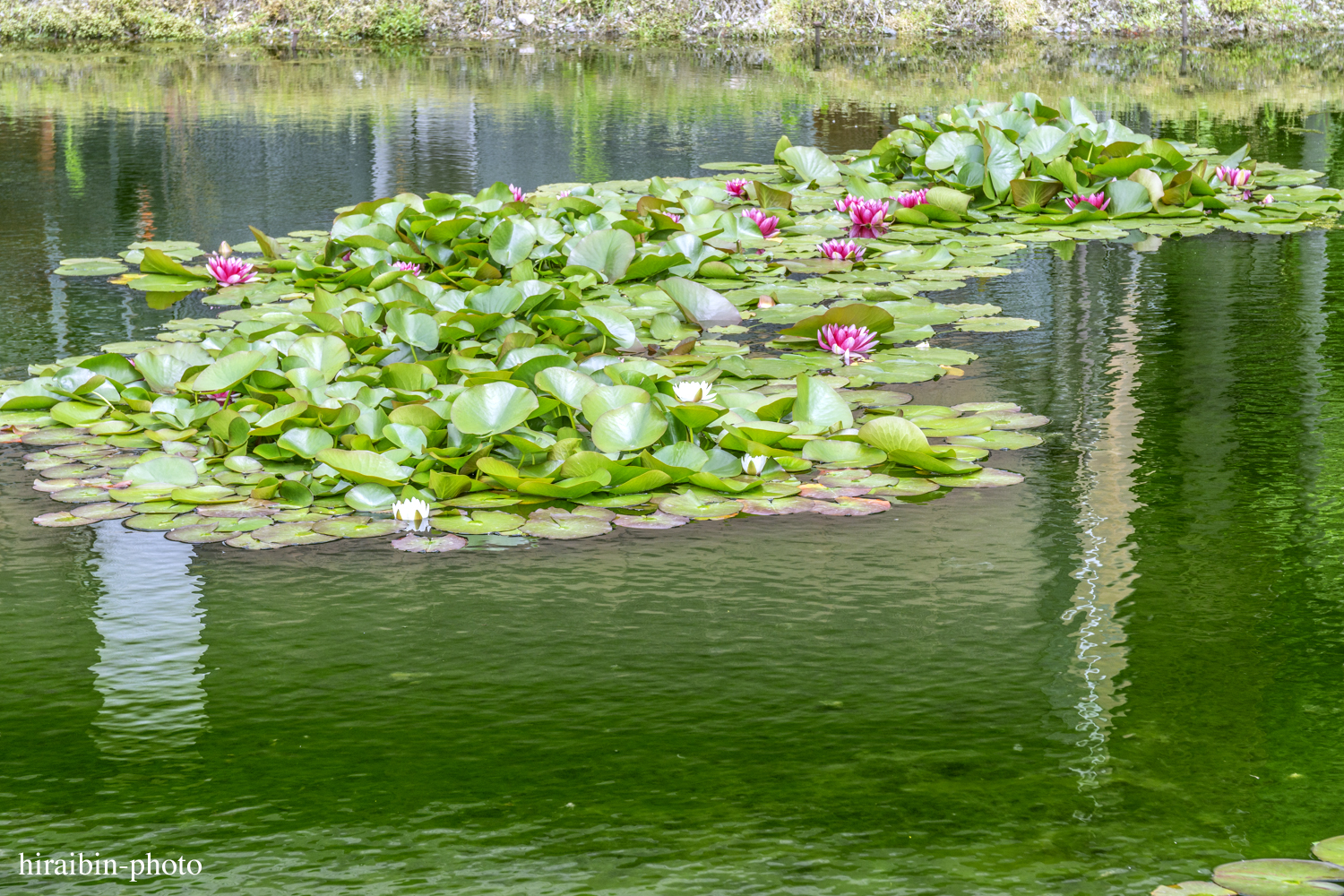 世界遺産「白川郷」編photolog_20